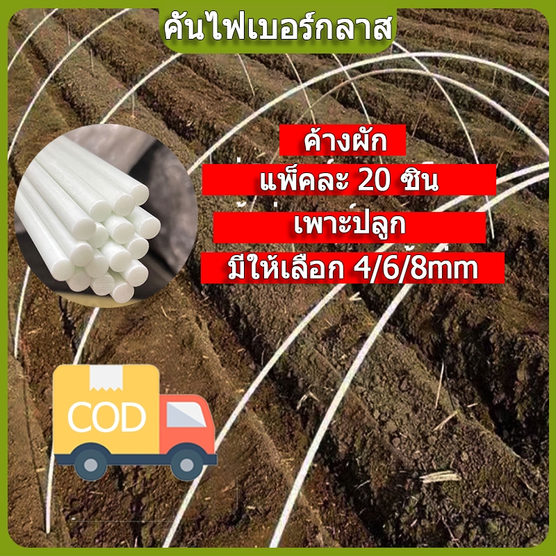 แพ็คละ 20ชิ้น เส้นผ่านศูนย์กลาง 4/6/8 มม.GLASS FIBER TUBE (แท่งกลมตัน) มีให้เลือกหลายขนาด ไม้ค้ำต้นไม้ หลักไม้เลื้อย เส