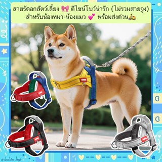 AL-714 สายจูงรัดอกสัตว์เลี้ยง โบว์ (ไม่มีสายจูง) สุนัข หมา แ…