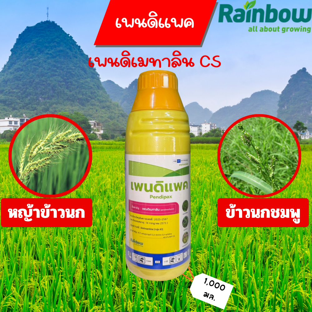เพนดิเมทาลิน 45.5% สูตร CS (เพนดิแพค) ขนาด 1 ลิตร