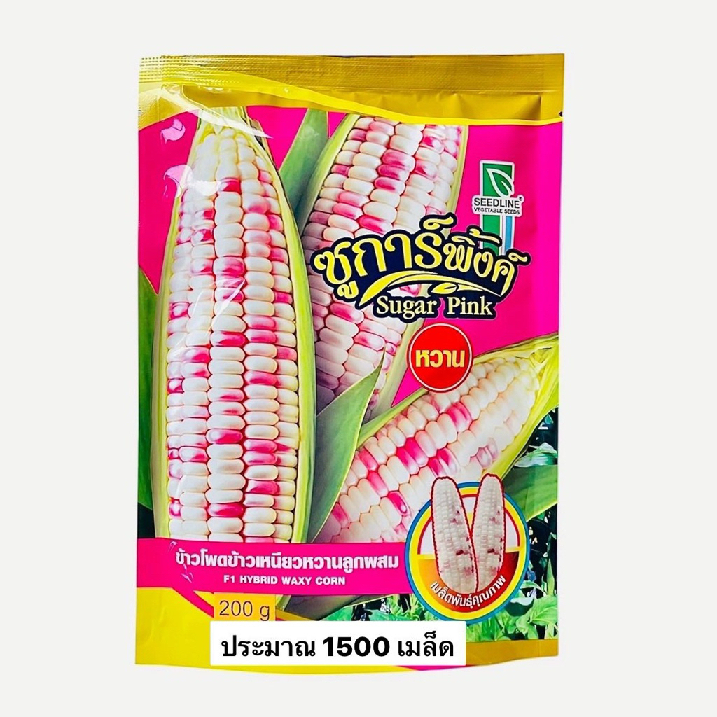 ข้าวโพด ซูการ์พิ้งค์ หวาน (200กรัม,80กรัม)
