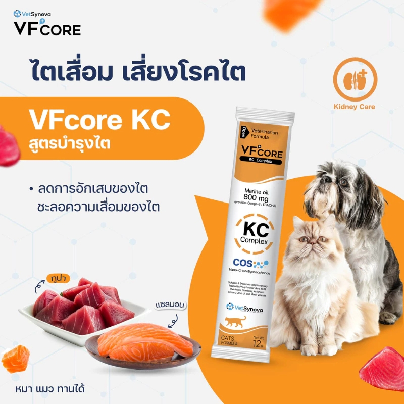 VF+CORE KC สีส้ม (1 กล่อง มี 30 ซอง) สูตรบำรุงไตของน้องหมาน้องแมว ชะลอการสะสมของเสีย ชะลอความเสื่อมข
