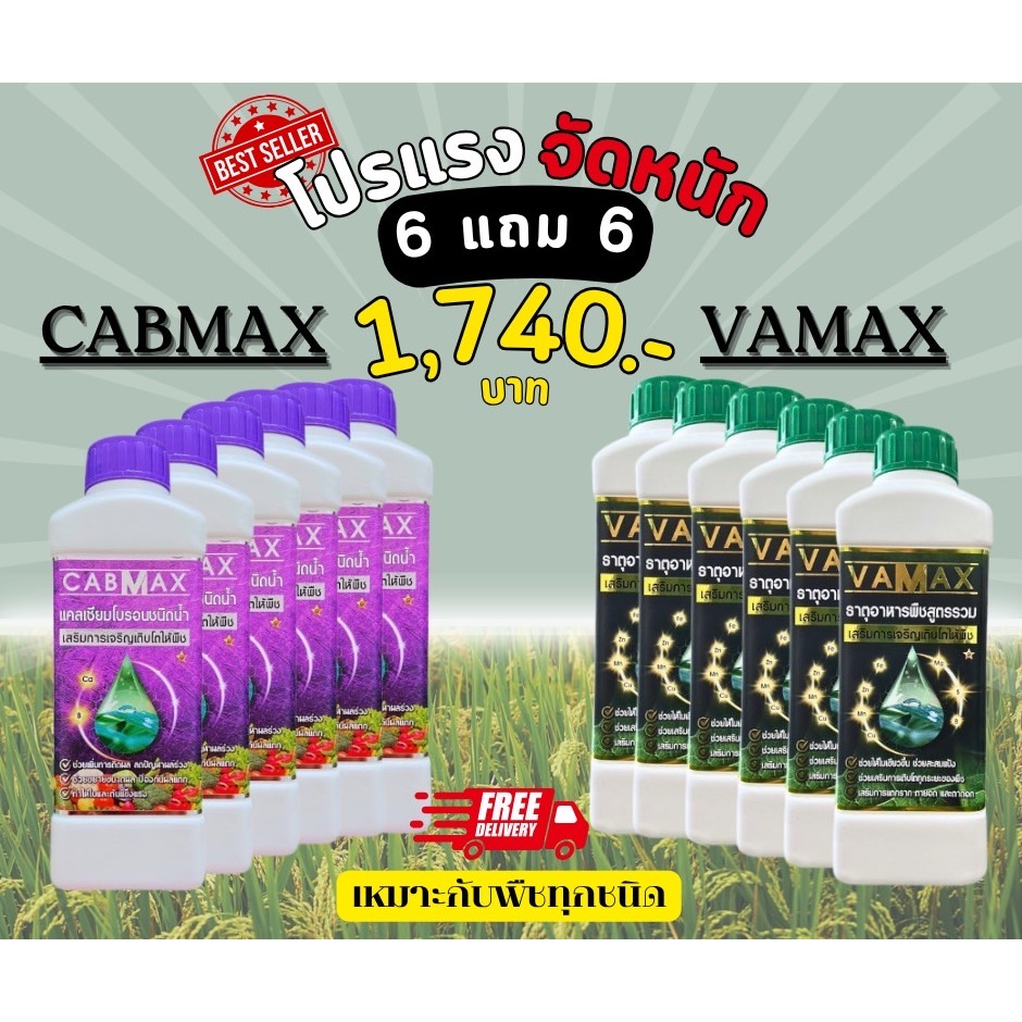 CABMAX แคลเซียมและโบรอนเข้มข้น + VAMAX ธาตุอาหารรวมเข้มข้น