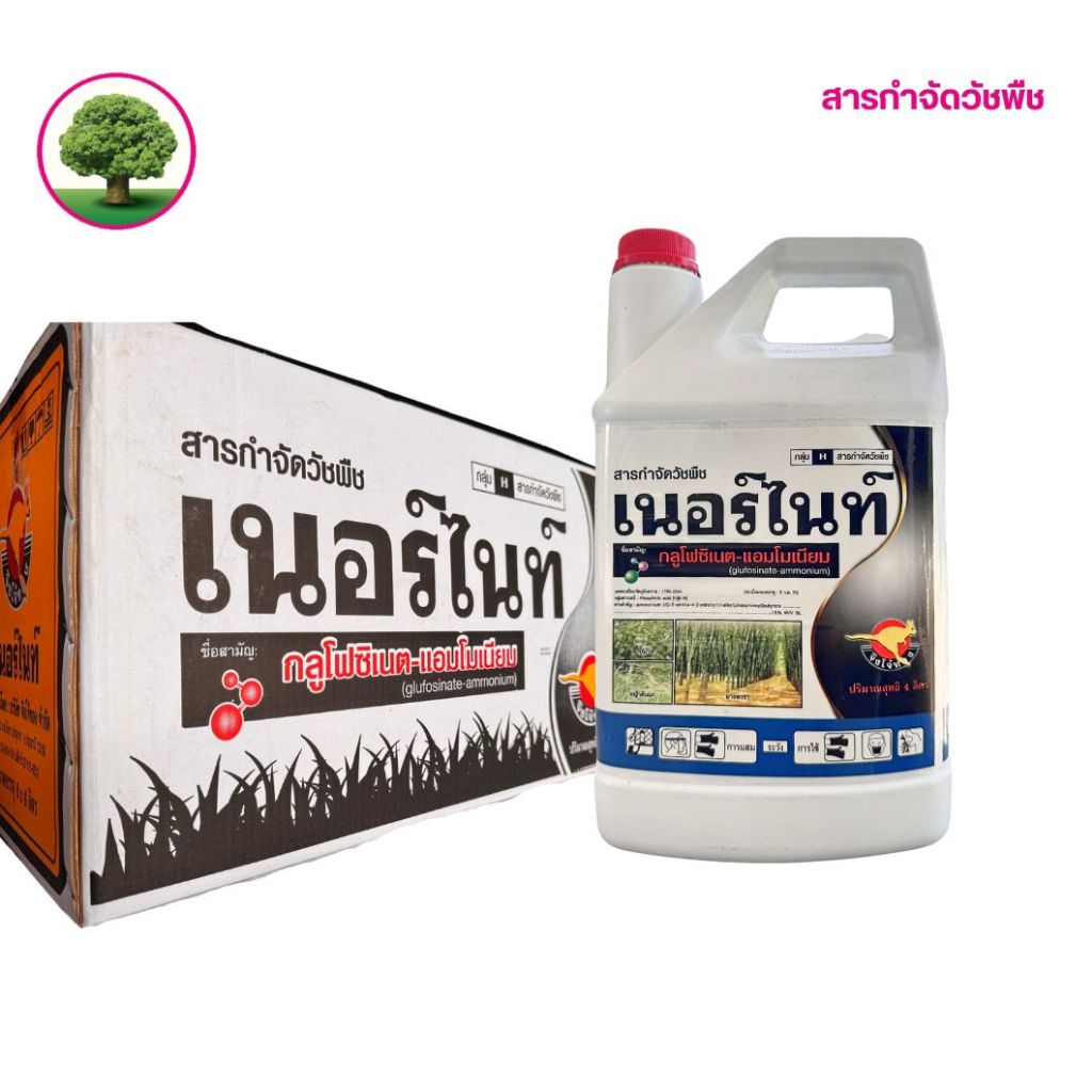 เนอร์ไนท์แกลลอน ขาว  (จิงโจ้ทอง) ขนาด 4 ลิตร ยกลัง 6 แกลลอน