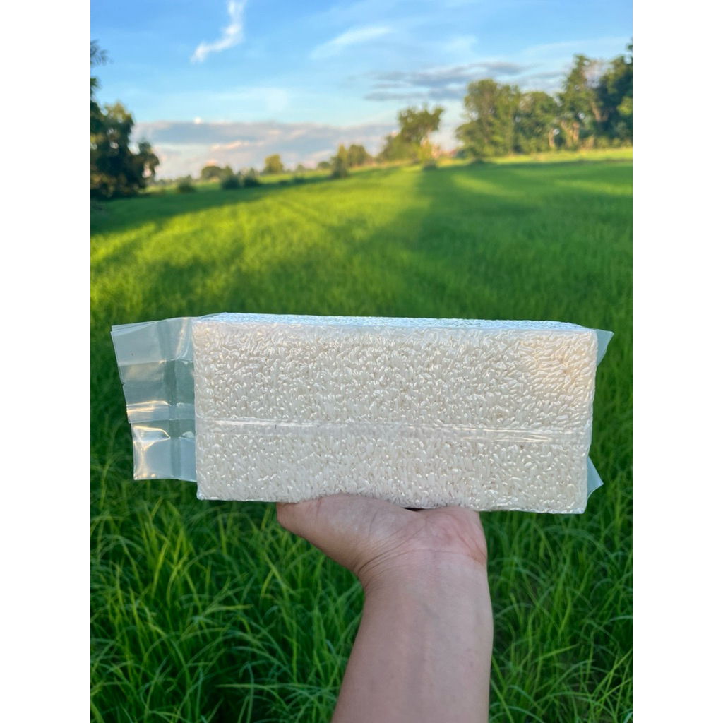 ข้าวหอมมะลิใหม่สุรินทร์ขนาด1กิโลกรัมปลูกเองจากเกษตรกรชาวจังหวัดสุรินทร์ - รูปที่ 2