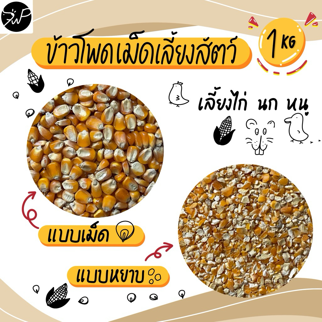 (1กก.) ข้าวโพดเม็ด ข้าวโพดป่น ข้าวโพดเลี้ยงสัตว์แบบเม็ดและแบบหยาบ ขนาด 1 กิโลกรัม