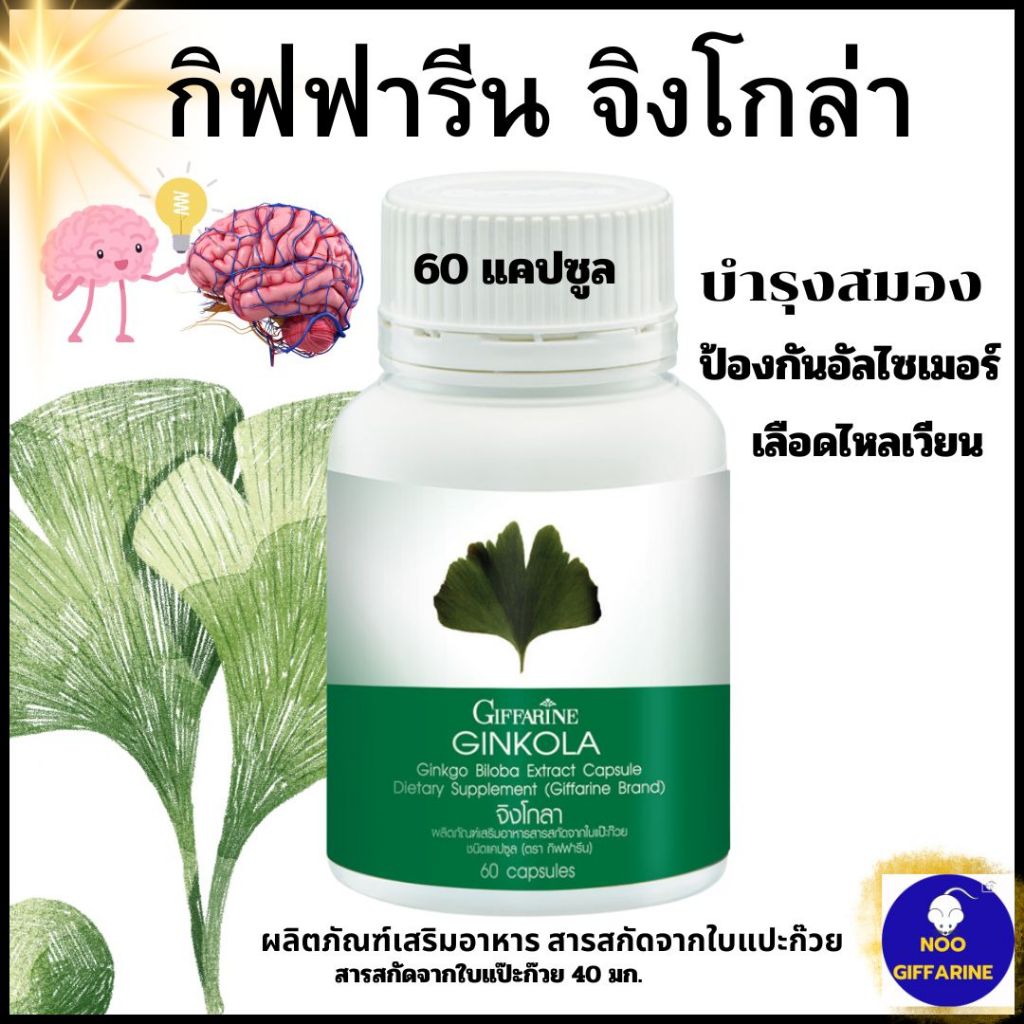 บ้านหมุน น้ำในหู เวียนศรีษะ เสียในหู พากิสัน อัลไซเมอร์  สมอง ความจำ จิงโกลากิฟฟารีน สกัดใบแป๊ะก๊วย