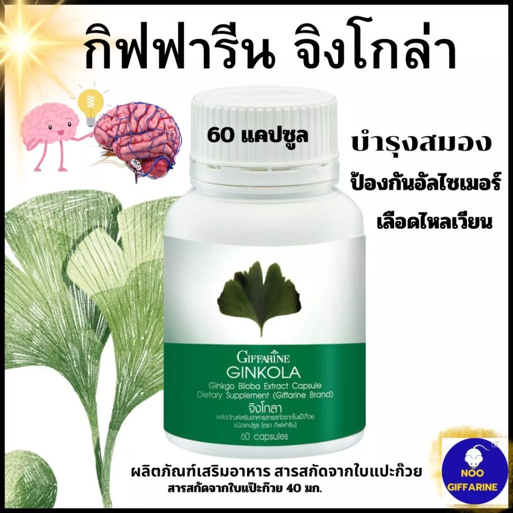 บ้านหมุน น้ำในหู เวียนศรีษะ เสียในหู พากิสัน อัลไซเมอร์ สมอง ความจำ จิงโกลากิฟฟารีน สกัดใบแป๊ะก๊วย