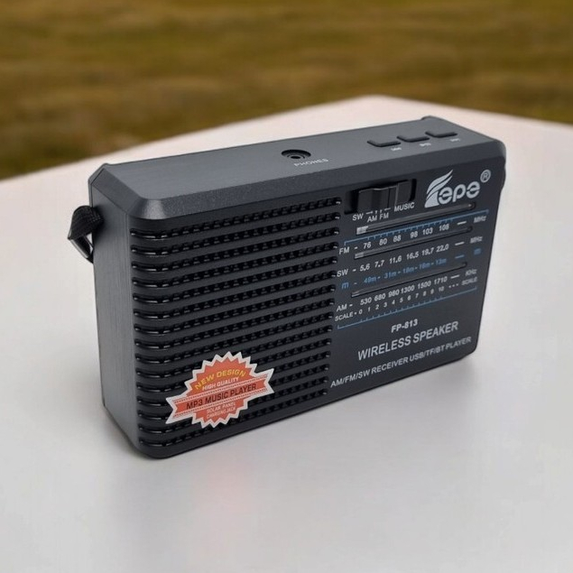 "พร้อมส่ง" วิทยุ/ลำโพงบลูทูธ MP3 (FP-813) ขนาดพกพาสุดคุ้ม!! พกพาสะดวก แถมฟรี สายชาร์จ