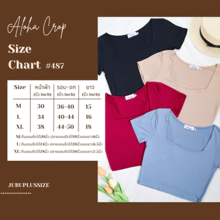 ส่งทันที!🛵 เสื้อครอปคอเหลี่ยมแขนสั้น เสื้อพลัสไซส์ ผ้าเรย่อน ผ้ายืดนุ่ม อก 36-50 นิ้ว plussize #487