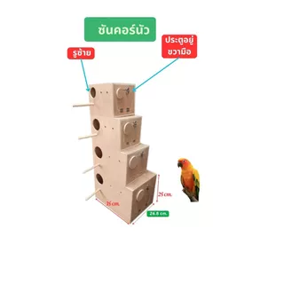 กล่องนก,รังเพาะนก,หงษ์หยก,เลิฟเบิร์ด,กรีนชีค,ซันคอร์นัว