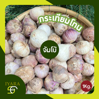กระเทียมโทน กระเทียมโทนสด 1กิโลกรัม