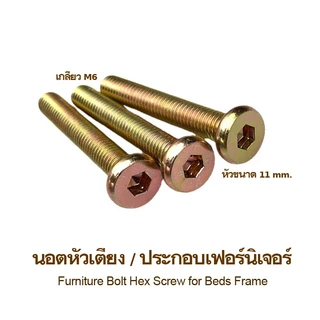 10ตัว โบลท์ยึดหัวเตียง ตู้ เปลเด็ก ราวตากผ้า ฟิตติ้ง หัวหกเหลี่ยม M6 สกรูอเนกประสงค์ ใช้คู่กับโดเวลนัท/ตัวหนอน