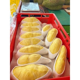 ส่งเฉพาะปทุม-กทม.🙏ส่งด่วนได้รับภายวัน🔥ทุเรียนหมอนทองพรีเมี่ย…