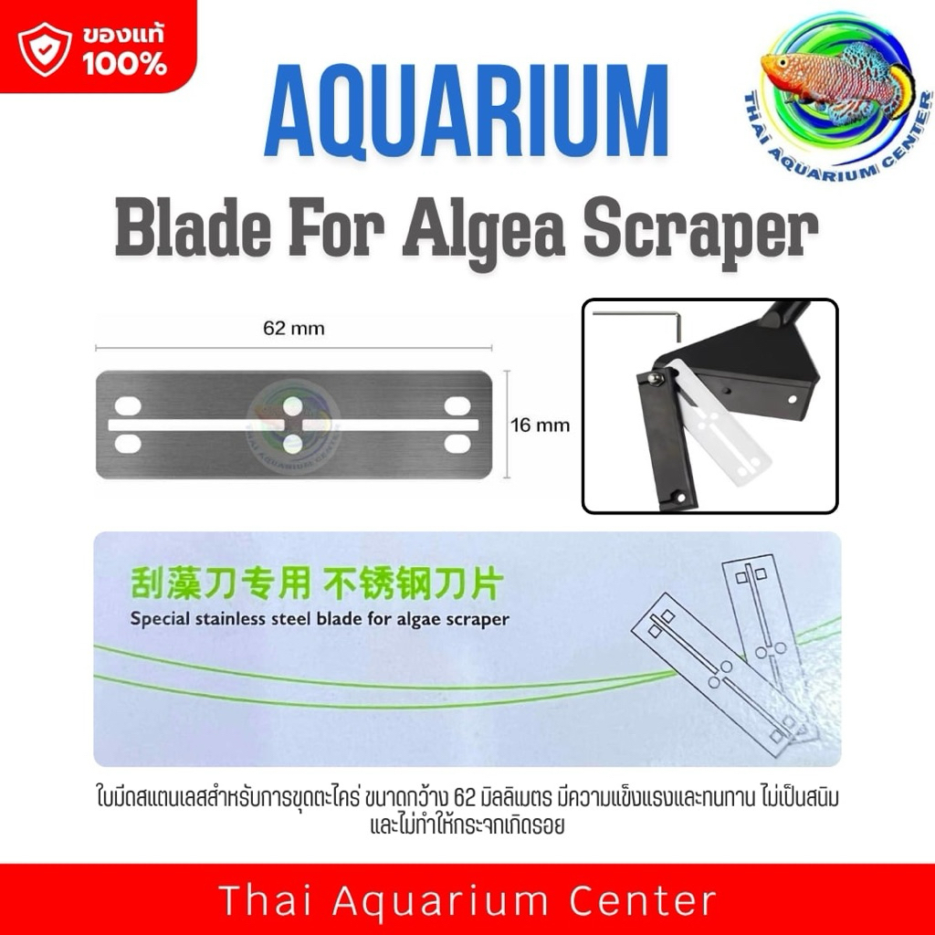 ใบมีดสแตนเลส สำหรับชุดขูดตะไคร่น้ำ (Blade for Algae Scraper)