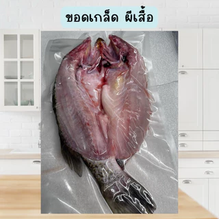 🐟ปลากระพงสดไซส์จัมโบ้+ฟรีน้ำจิ้มซีฟู้ด‼️ มีบริการขอดเกล็ด แล่เนื้อล้วน หั่นชิ้น ควักไส้ฟรี 🐟 พร้อมส่งทั่วไทย 🚐
