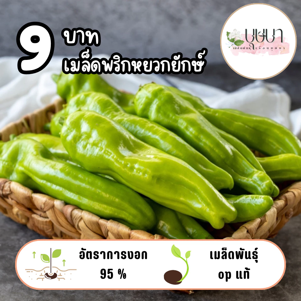 เมล็ดพันธุ์พริกหยวกยักษ์ 9บาท 200เมล็ด