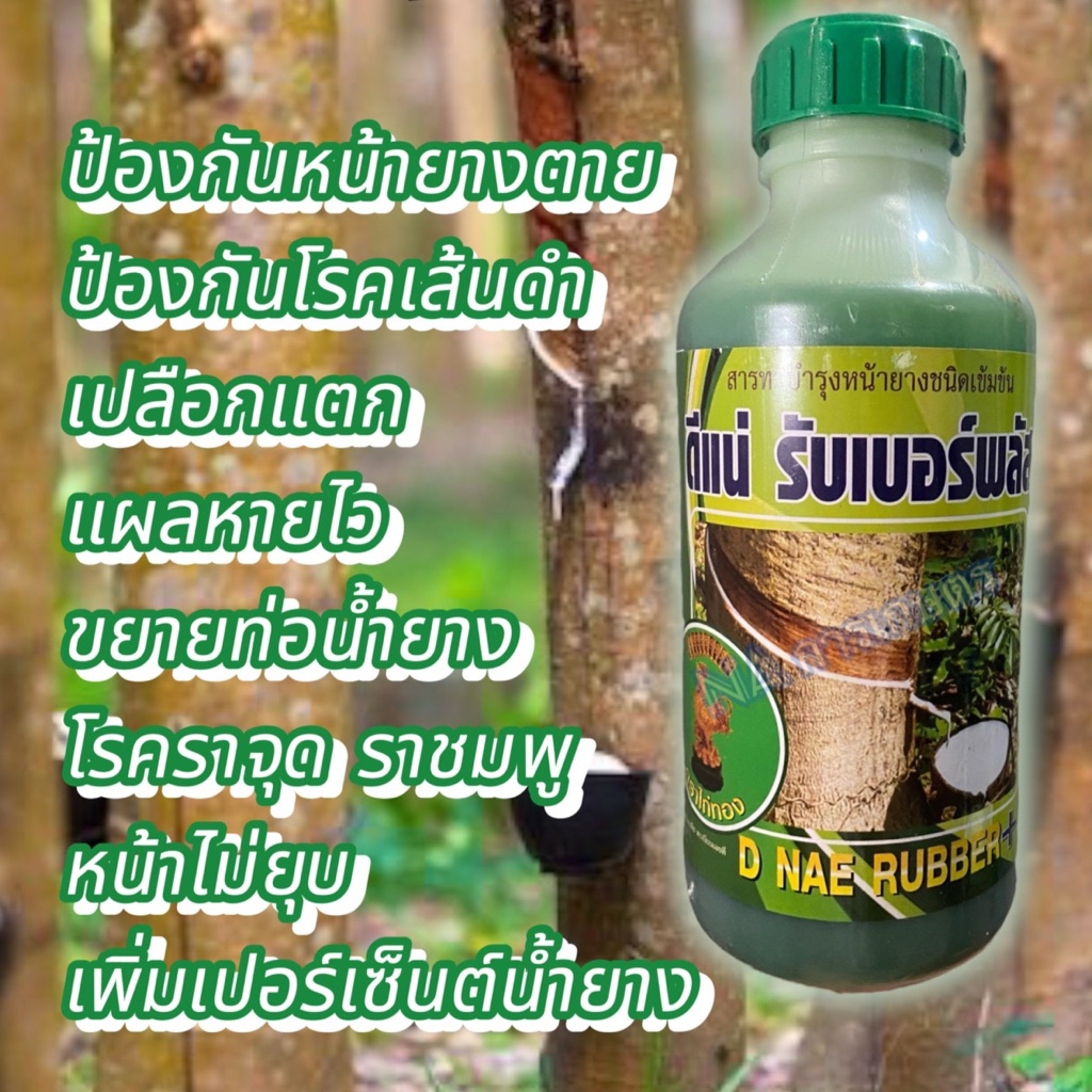 สารบำรุงหน้ายางดีแน่(เขียว) ยาทาหน้ายางสูตรบำรุงหน้ายางปลอดสารเร่ง