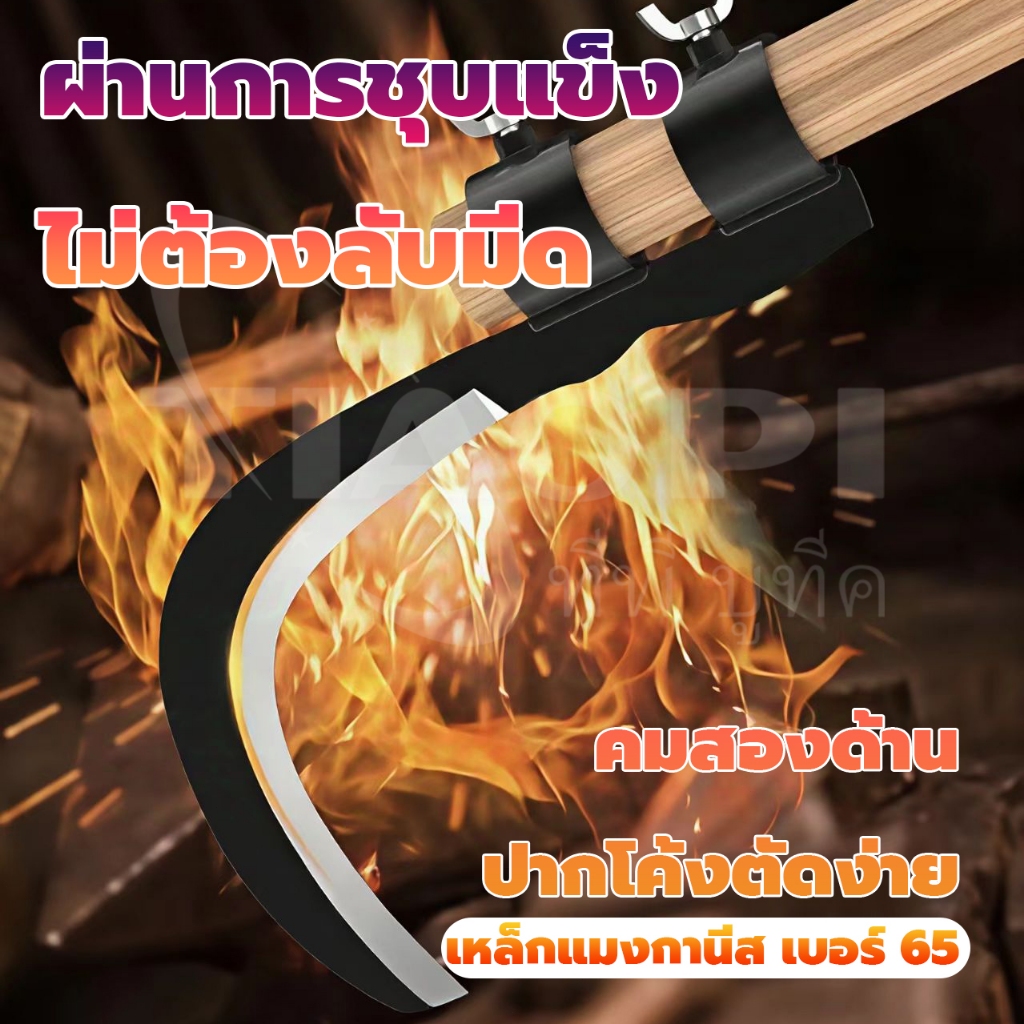 🇩🇪เยอรมันผลิต มีดขอ เคียว เกี่ยวผลไม้บนที่สูง ไม่ต้องปีน เสี่ยงอันตราย เหล็กแมงกานีส หนา คม ทนทาน COD พร้อมส่ง - รูปที่ 2