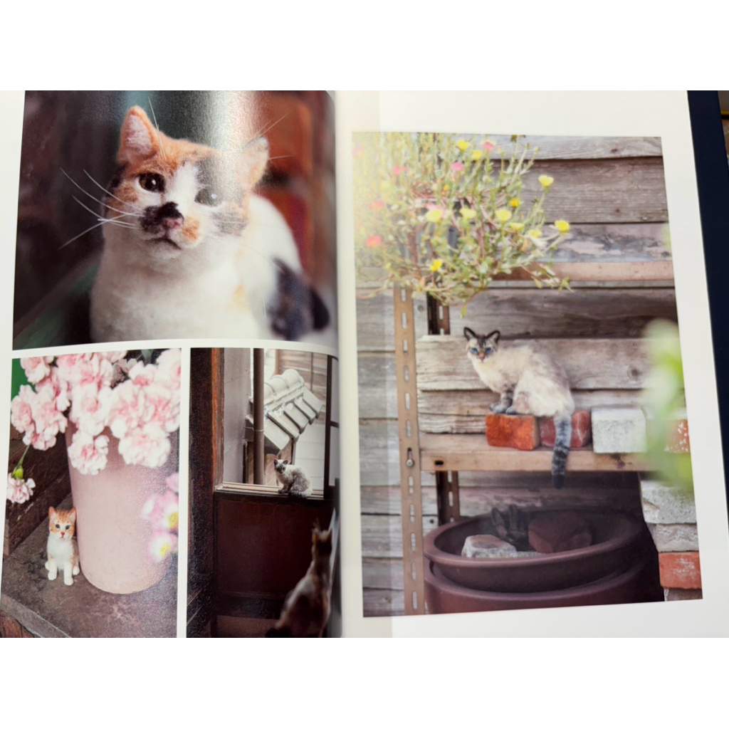 หนังสือญี่ปุ่น สอนทำ Wool Felt Cat แมวเสมือนจริง