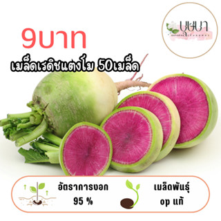 เมล็ดเรดิชแตงโม 9บาท 50เมล็ด