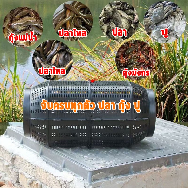 🔥รูคู่ กระชังปลาขนาดใหญ่🔥ที่ดักปลา มุ้งดักกุ้ง ที่ดักปลาไหล งานดี ทนทาน ใช้จับ: ปลา, กุ้ง, ปู, ปลาไหล ฯลฯ - รูปที่ 4