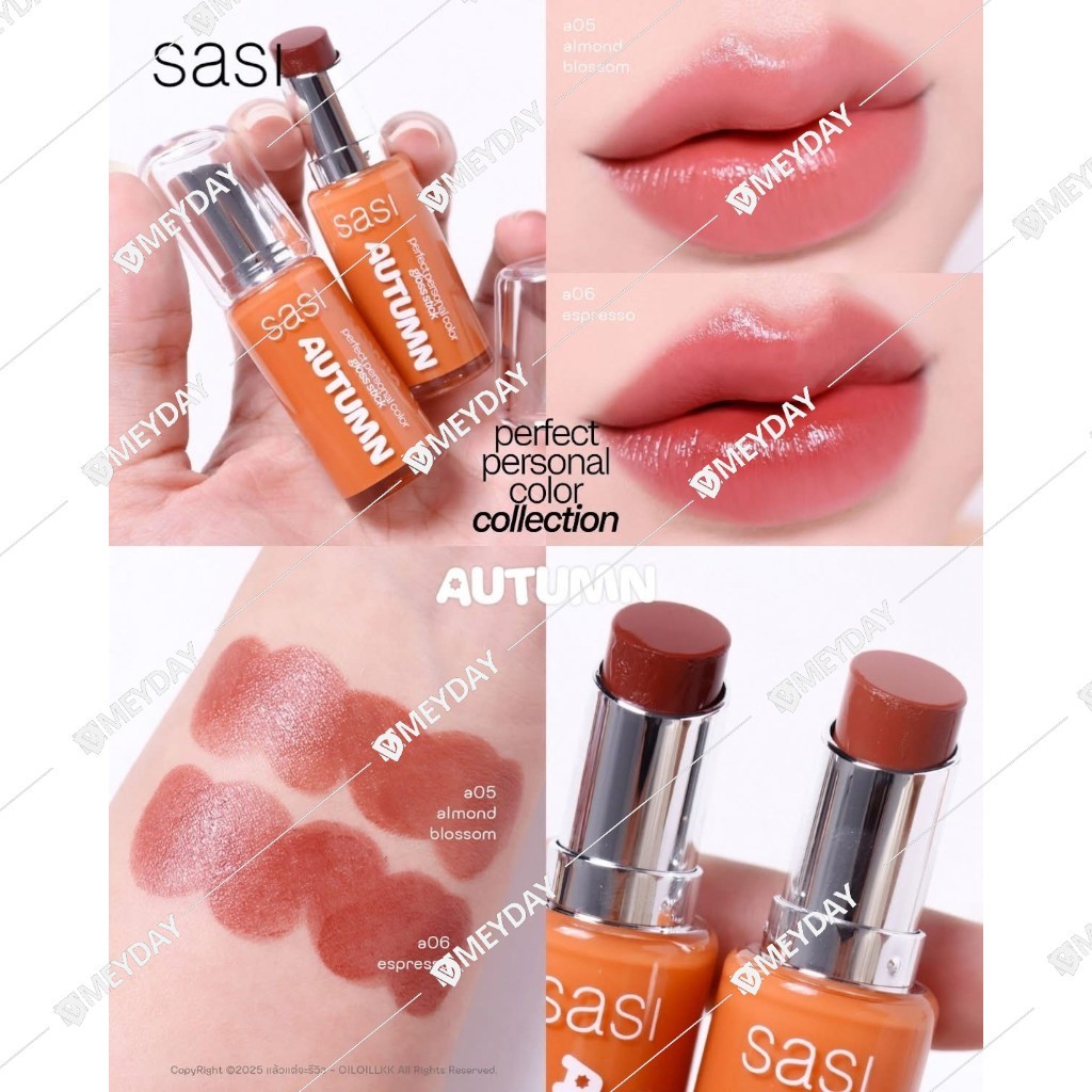 Sasi Perfect Personal Color Gloss Stick ศศิ เพอร์เฟกต์ เพอร์ซันนอล คัลเลอร์ กลอส สติ๊ก ลิปศศิ 3g — صورة 3