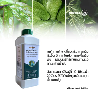 สารจับใบ เข้มข้น nonionic surfactants สารนำพา สารแทรกซึมพืช ชนิดแพร่กระจาย