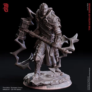 Dnd miniature Dungeon and dragons CLERIC CLASS