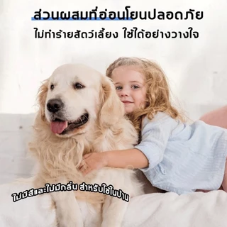 100%ยากำจัดปลวก ยากำจัดปลวก ยากำจัดปลวก ฆ่าปลวกภายในหนึ่งพันเมตร 300mlยากำจัดปลวก ได้ผล