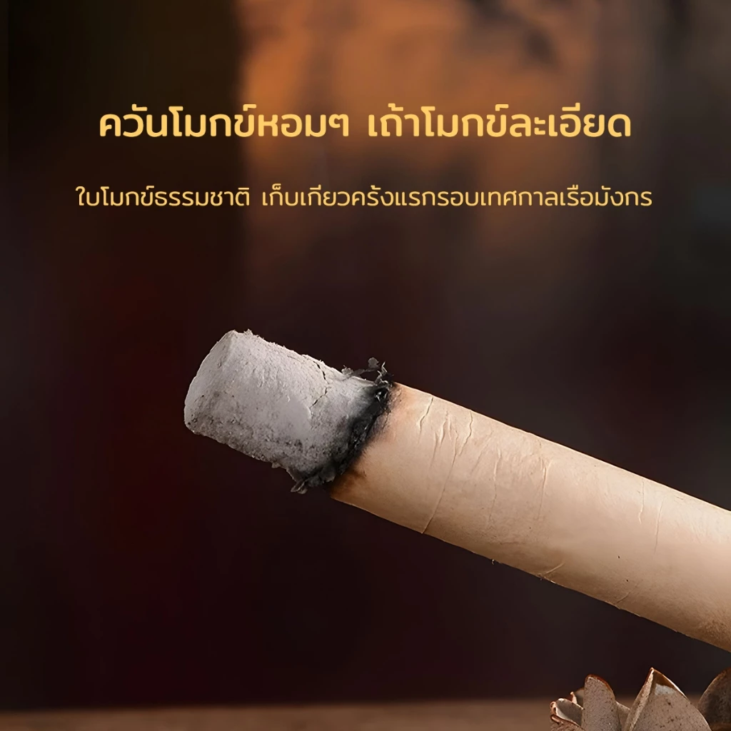 ไม้กันยุง พร้อมที่ตั้งธูปฟรี ดีไซน์กะทัดรัด นำไปได้ทั้งทริปปิกนิก เที่ยวทะเล หรือแคมป์ปิ้ง กลิ่นไม่แรงจนเกินไป แต่ประสิท thumbnail 4