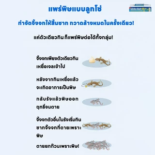 🦎100 เมตรไร้จิ้งจกครับ🦎SKy ยาฆ่าจิ้งจก ยาฆ่าตุ๊กแก ยาไล่จิ้งจก ไล่จิ้งจก ยาจิ้งจก ไล่ตุ๊กแก ฆ่าจิ้งจกมีประสิทธิภาพ