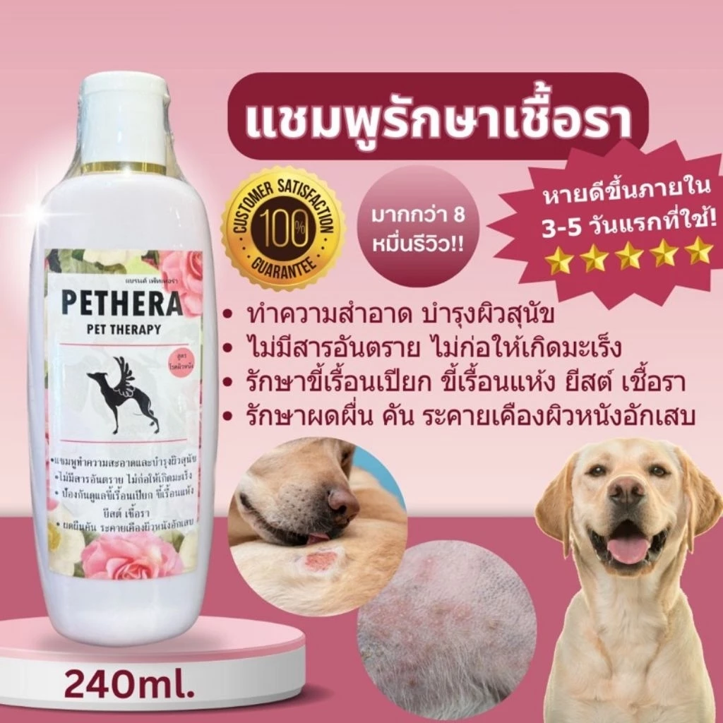 Pethera แชมพูสมุนไพรดูแลผิวหนังสุนัขแมว ลดปัญหาคัน ขนร่วง ผิวแห้ง 240ml