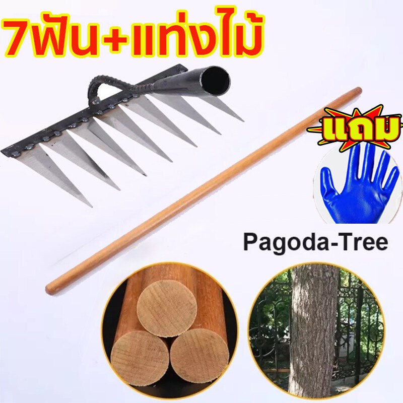 Thumbnail 9