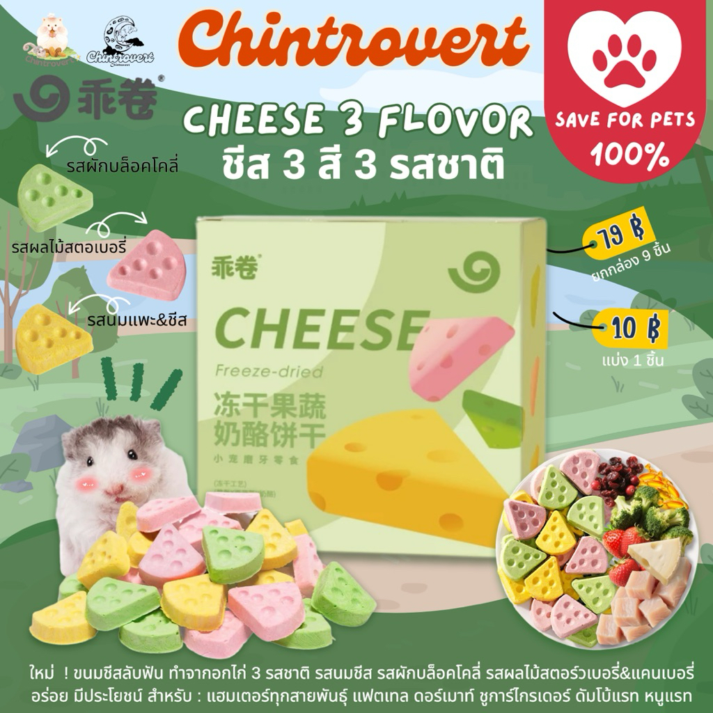 Chintrovert ✨| Cheese 3 flavor ชีสฟรีสดราย 3 รสชาติ ผัก/ผลไม้/นมแพะ | แฮมเตอร์ ดอร์เมาท์ แฟตเทล ชูการ์ไกร์เดอร์