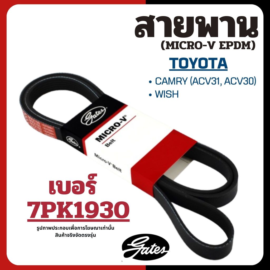 TOYOTA | สายพาน 7PK1930 | CAMRY (ACV31, ACV30) / WISH แบรนด์ GATES โตโยต้า (MICRO-V EPDM)