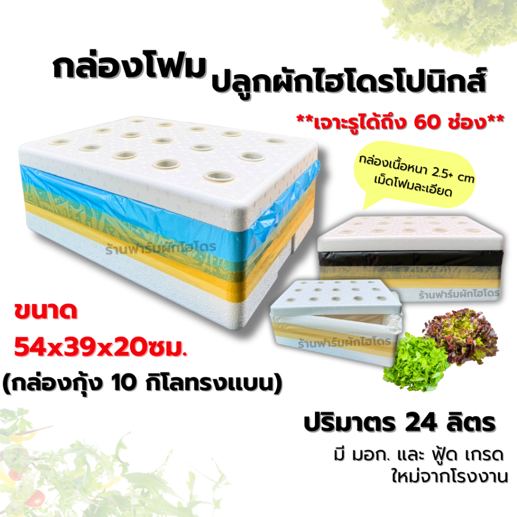 กล่องโฟมปลูกผักไฮโดรโปนิกส์ พร้อมรองถุงติดเทปแน่นหนาทุกใบ และ ถ้วยปลูกตามรู เลือกสีได้ ฟ้า ขาว ดำ เจาะรู 1-54 ช่อง