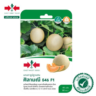 ศรแดง เมล็ดพันธุ์แคนตาลูปลูกผสม ศิลามณี 546  (East-West Seed…