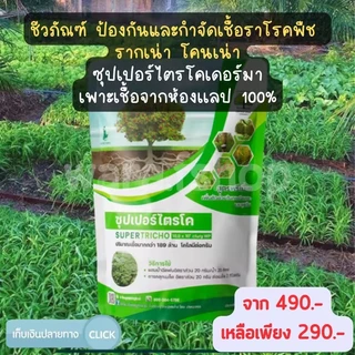 ไตรโคเดอร์มา ซุปเปอร์ไตรโค ไตรโคเดอร์มาผง (500 กรัม) ชีวภัณฑ์ ป้องกันและกำจัดเชื้อราโรคพืช รากเน่า โคนเน่า ปลอดภัย100%
