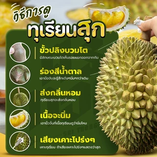 📌ทุเรียนหมอนทอง จันทบุรี ตัดแก่จากสวน เนื้อแน่นทุกพู พร้อมวิดีโอชั่งน้ำหนักจริงทุกลูก! ศรีทอง bearbakery