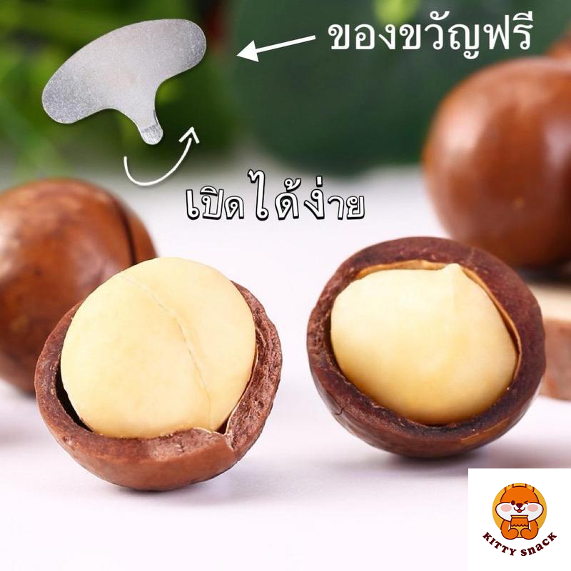 KITTY snack แมคคาเดเมีย 500g รสเนยแท้ MACCA S แมคคาเดเมียเม็ดใหญ่ อบกรอบมันส์