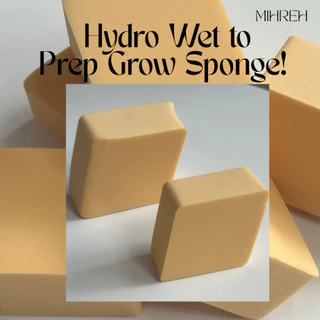 [3150](พร้อมส่ง) Hydro wet to prep grow sponge! ฟองน้ำแต่งหน้าแบบเปียก ตบๆๆ ได้ลุคงานผิวโกลว แบบช่างเกาหลีมาเอง (MT10)