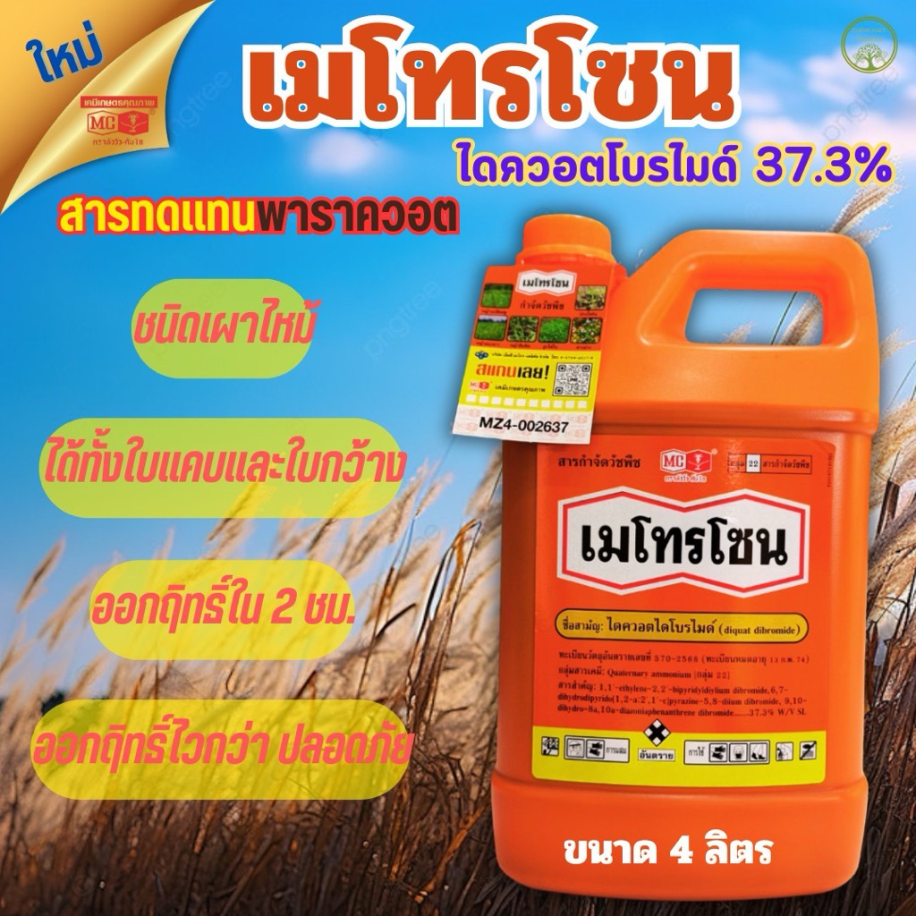 เมโทรโซน แกลลอนส้ม ไดควอตไดโบรไมด์ 37.3 SL ขนาด 4 ลิตร❌สารทดแทนพาราควอต❌ฆ่าหญ้าเผาไหม้ทันที 24 ชม.