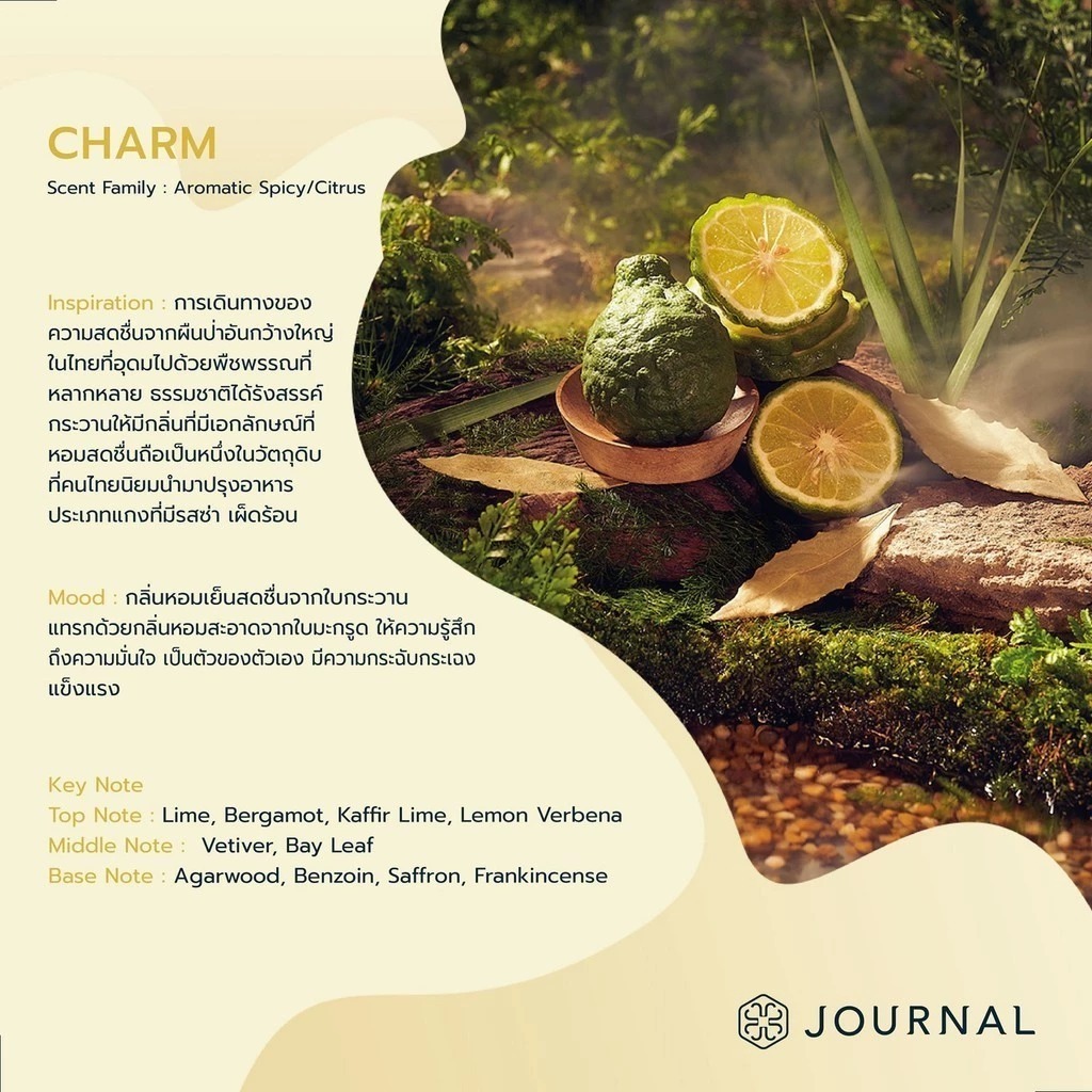 JOURNAL - Body Oil 30 ml. เจอร์นัล บอดี้ออยล์ - ภาพย่อย 4