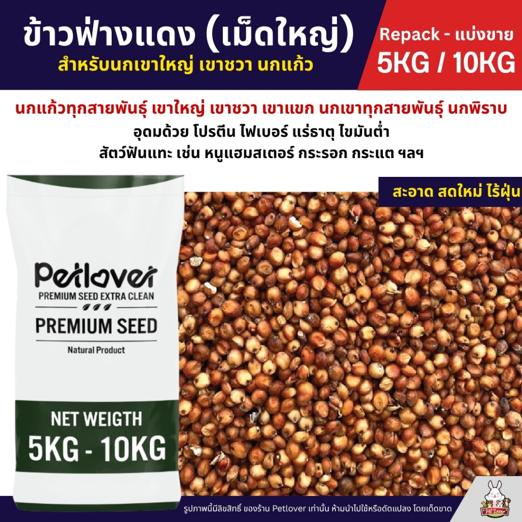 (5KG/10KG) ข้าวฟ่างแดง อาหารนกแก้ว หนูแฮมสเตอร์ นกเขา เขาใหญ่ เขาชวา นกพิราบ ใหม่ สด สะอาด ร่อนฝุ่นทุกถุง