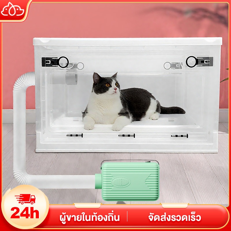 แมว ไดร์เป่าผม ของใช้แมว เครื่องเป่าขนแมว อาบน้ําแมว ตู้อบแมว ตั้งเวลาได้ ไดร์เป่าขนแมว เสียงรบกวนต่ำ เป่าขนแมว แห้งเร็ว