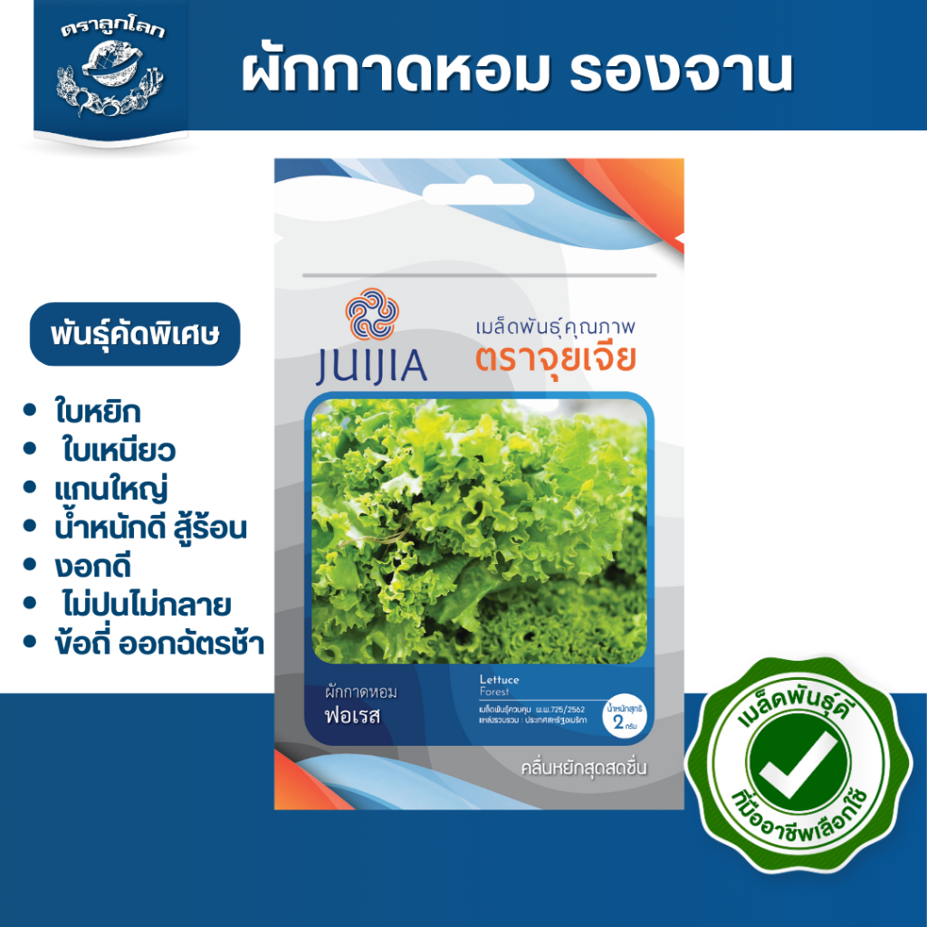ตราลูกโลก เมล็ดผักกาดหอม รองจาน ฟอเรส Lettuce เมล็ดพันธุ์ผัก ผักสวนครัว ผักซอง ผักสลัด เมล็ดผักสลัด