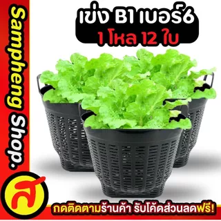 ยกโหล เข่ง เบอร์ 6 เข่งปลูกต้นไม้ เข่งพลาสติก สีดำ มีให้เลือก 2 แบบ