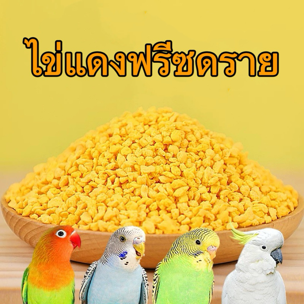 S-3 [เม็ดเล็ก] อาหารเสริมนก ไข่แดงฟรีซดรายแบบเม็ดเล็ก 50 กรัม ไข่แดงตามธรรมชาติ 100% ขนมฟรีซดรายสำหรับนกแก้ว อาหารนก