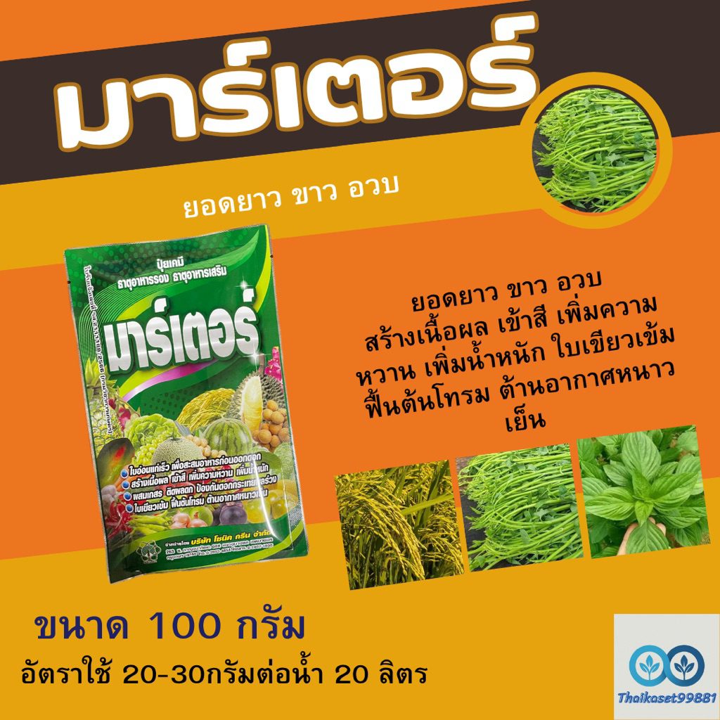มาร์เตอร์ MgO+Zn 100 กรัม ธาตุอาหารเสริม ธาตุอาหารรอง 🍈🍓🍉🍑🍊🥭