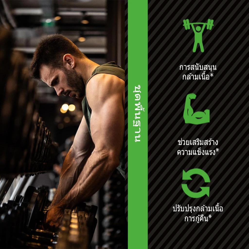 Ozmolts Mass Gainer Protein Powder Banana 2LB thumbnail 6